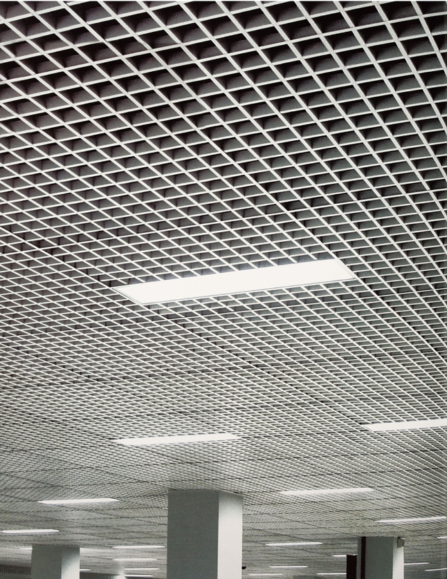 Cell Ceiling System